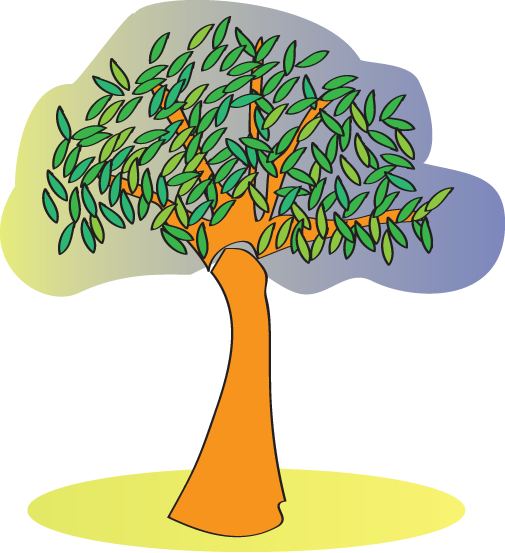 drawing of tree